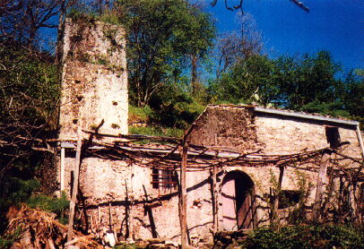 noa93.jpg (56524 byte)