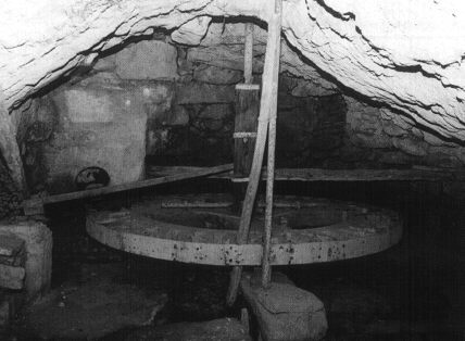 noa94.jpg (26930 byte)