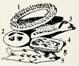 pag. 73 Disegno sfondo carta ombra.jpg (34773 byte)