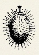 pag. 92 Disegno sfondo carta ombra.jpg (13704 byte)