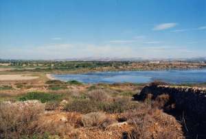 06Vendicari Pantano Piccolo 9k Ph S Occhino.JPG (9047 byte)