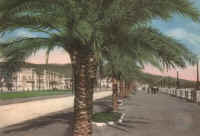 Cartolina 12.jpg (21619 byte)